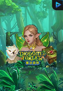 Bocoran RTP Enchanted Forest di SENSA838 - GENERATOR SLOT RTP RESMI SERVER PUSAT