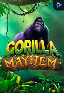 Gorilla Mayhem